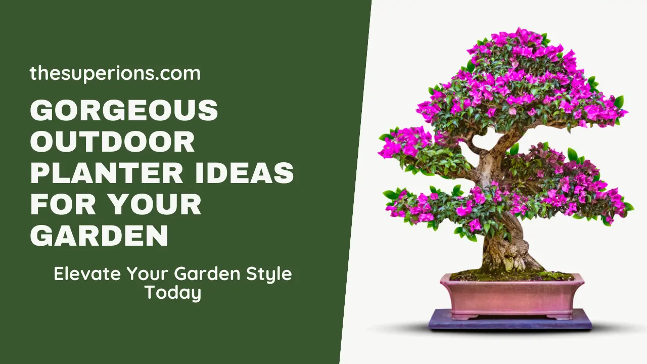 Transforming Your Garden with Outdoor Large Planter Pots