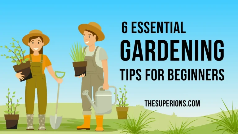 6 Essential Garden Maintenance Tips for Beginners