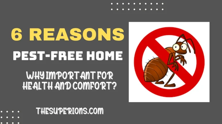 6 Reasons a Pest-Free Home is Important for Health and Comfort