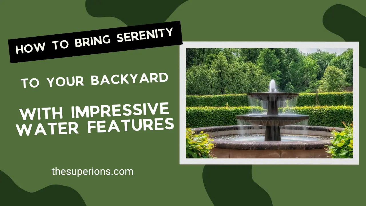 How to Bring Serenity to Your Backyard with Impressive Water Features