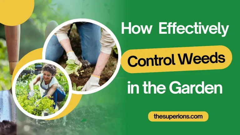 How to Effectively Control Weeds in Your Garden