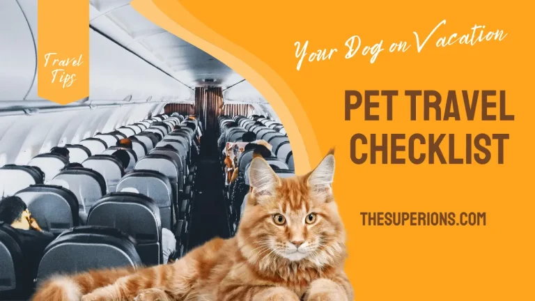 Pet Travel Checklist What Essentials to Pack for Your Dog on Vacation