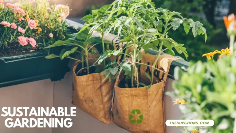Sustainable Gardening Practices | Thesuperions.com