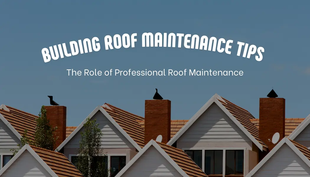 What Homeowners Should Know About Roof Maintenance