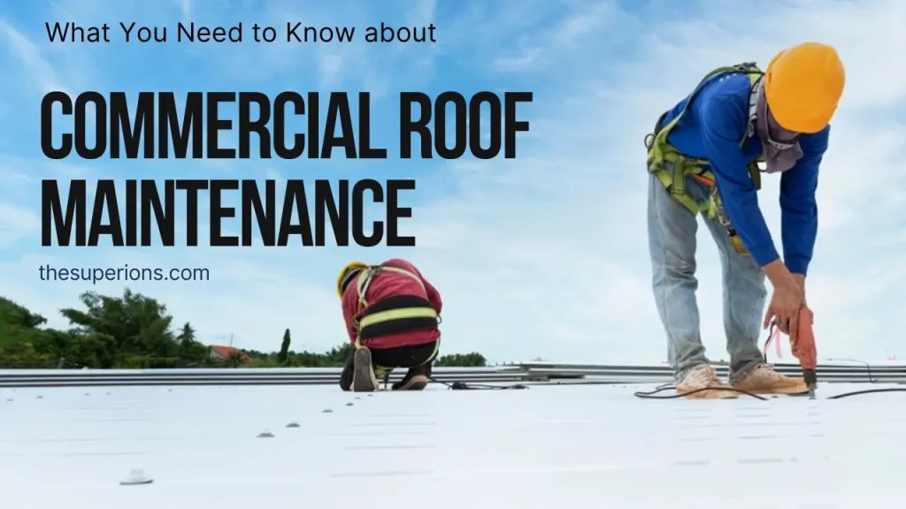 What You Need to Know About Commercial Roof Maintenance