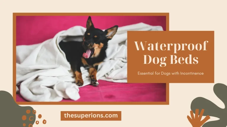 Why Waterproof Dog Beds Are Essential for Dogs with Incontinence