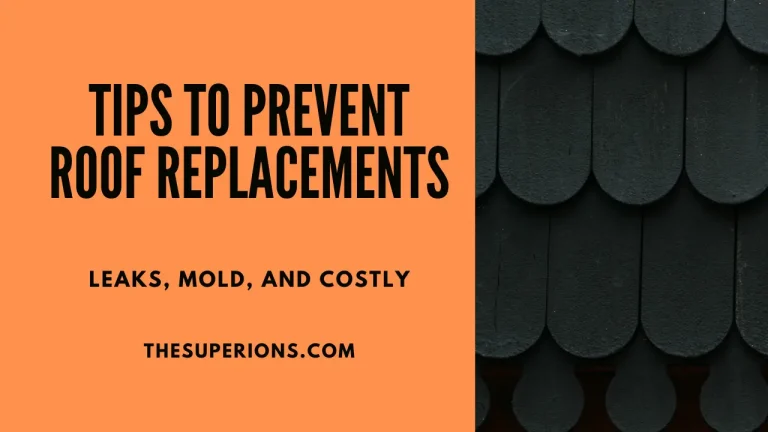 4 Proactive Tips to Prevent Leaks, Mold, and Costly Roof Replacements