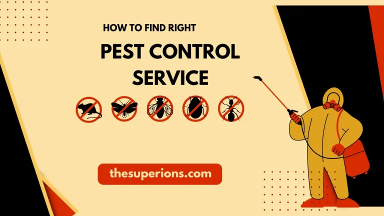 How to Choose the Right Pest Control Service Expert Advice