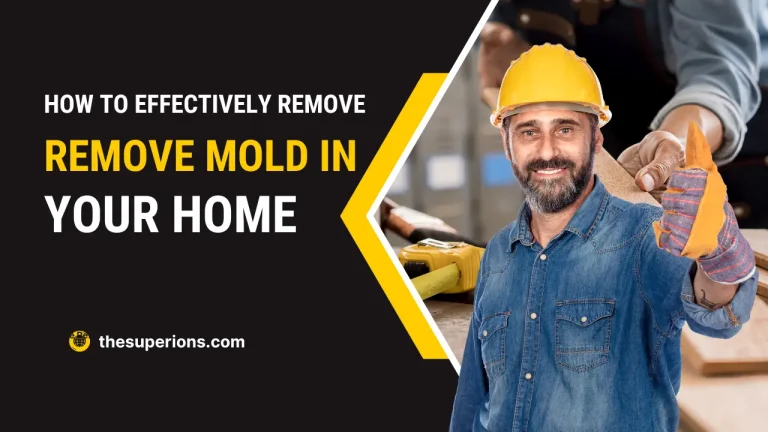 How to Effectively Remove Mold in Your Home
