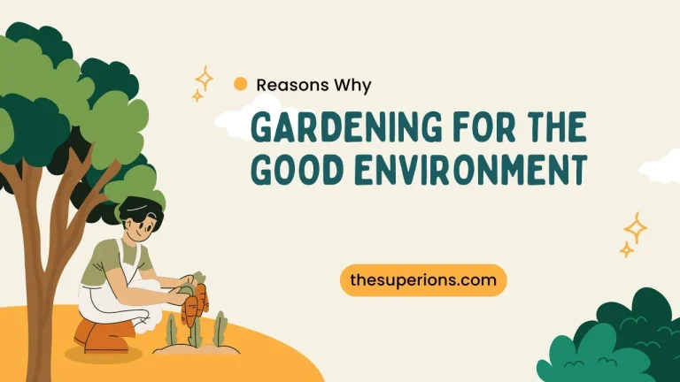 Reasons Why Gardening is Good for the Environment