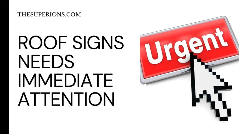 Signs Your Roof Needs Immediate Attention