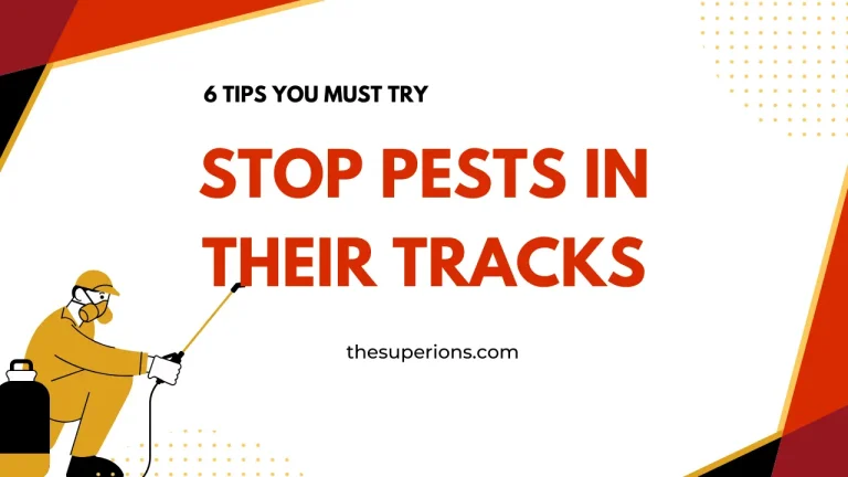 Stop Pests in Their Tracks 6 Tips You Must Try
