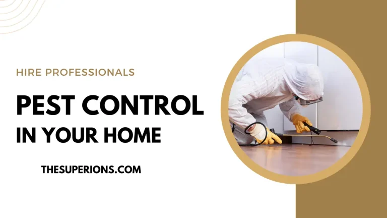The Top 6 Reasons to Hire Professionals for Pest Control in Your Home