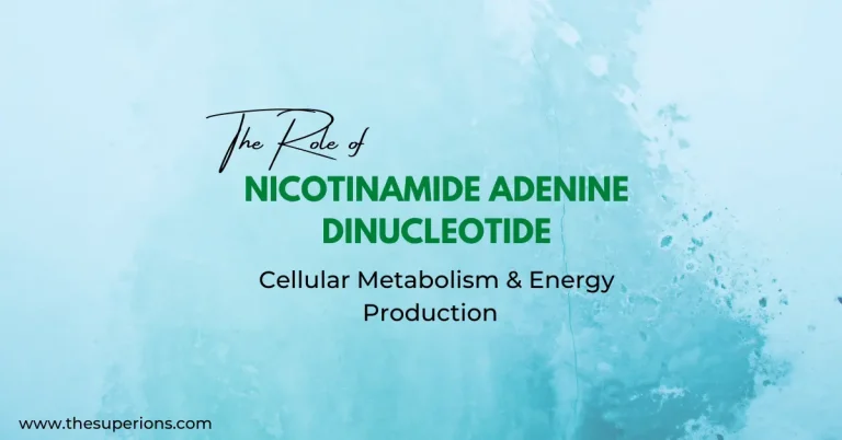 nad cellular metabolism energy