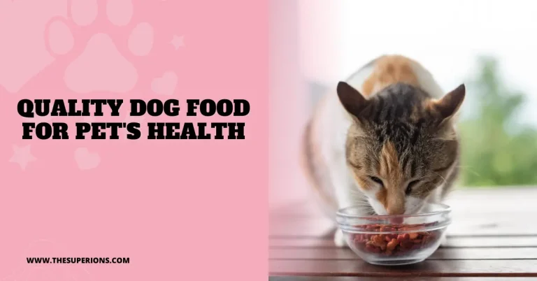 quality dog food pet health