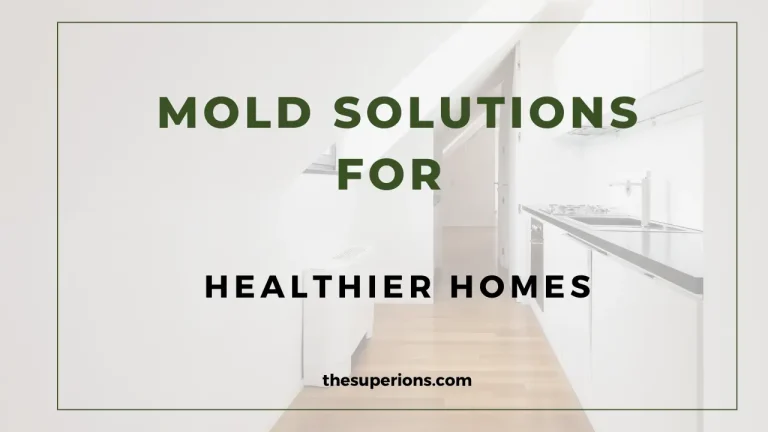 Comprehensive Mold Solutions for Healthier Homes