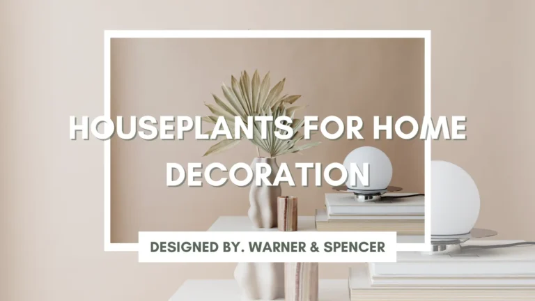 Houseplants for Home Decoration That Revitalize Your Living Area