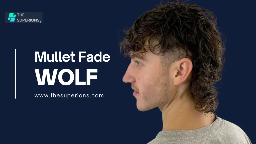 Wolf Cut Mullet Fade